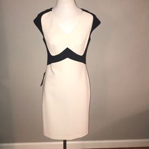 The Limited Scandal Collection Dress